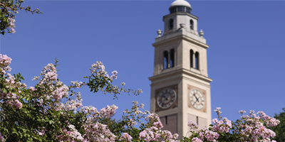 Louisiana State University Landscapes